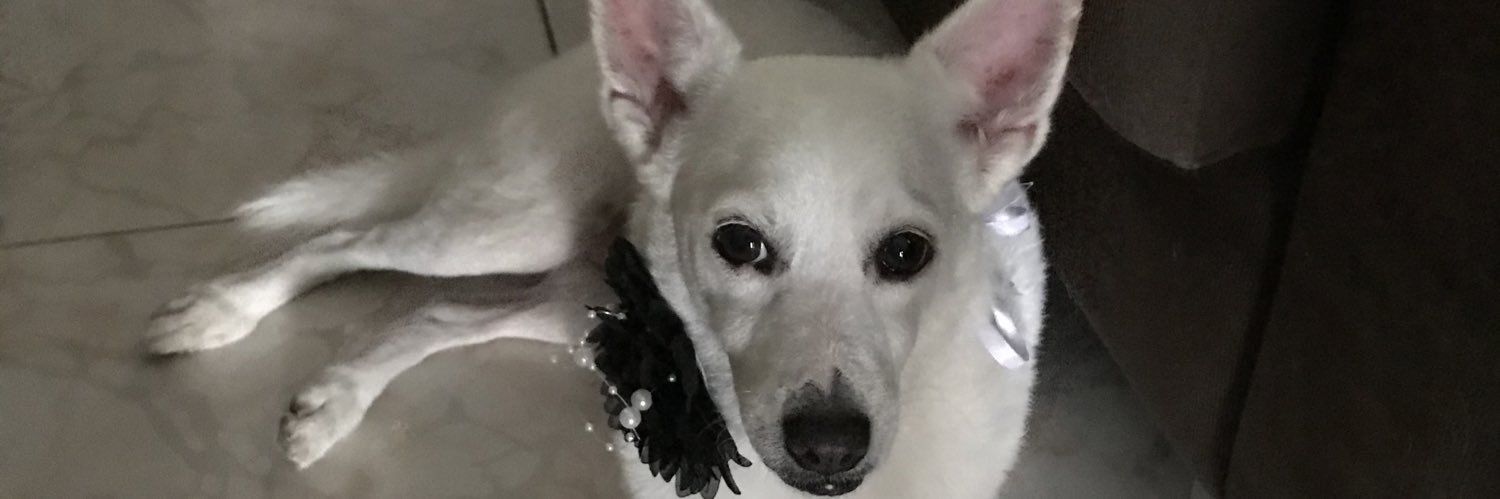 Marcellemoraees's profile banner image