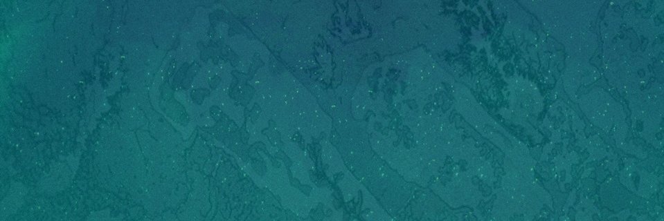 JackVive's profile banner image