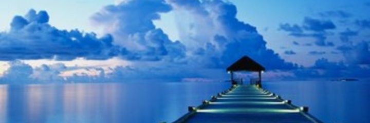 fandeperson's profile banner image