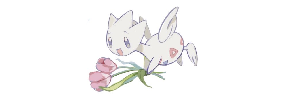 あんかけダリ's banner