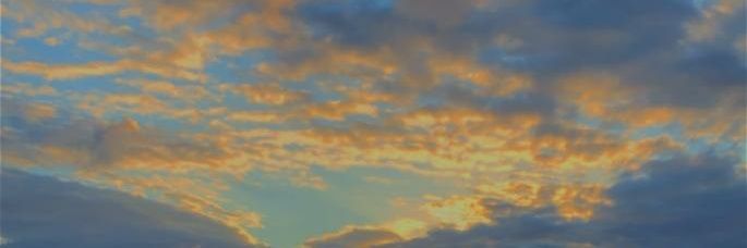 DUM🅰️TOᶜᵃᵐ.♰♡ banner