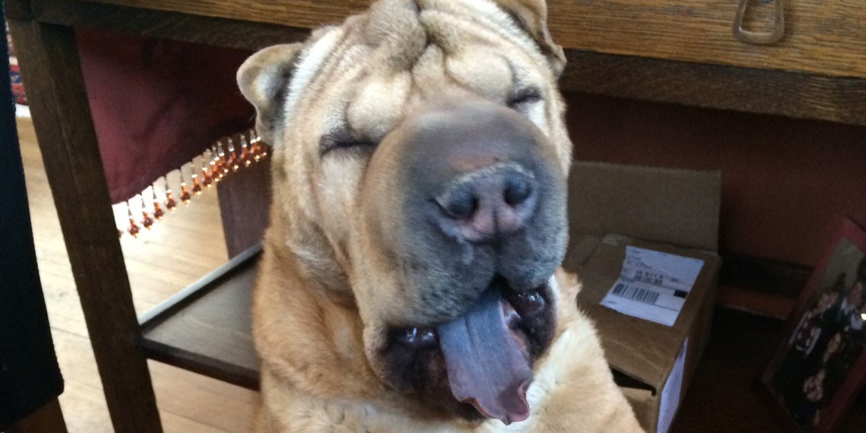 Eva Ichkhanian banner