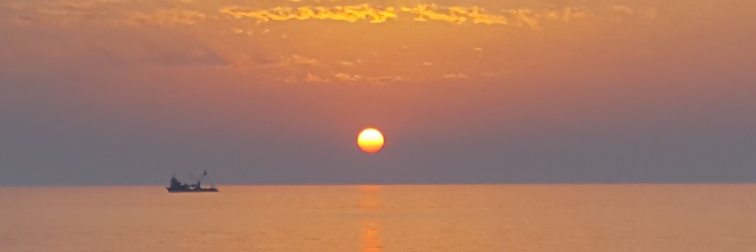 dmleem's profile banner image