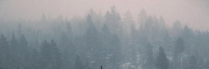 ItsSeanRogers's profile banner image