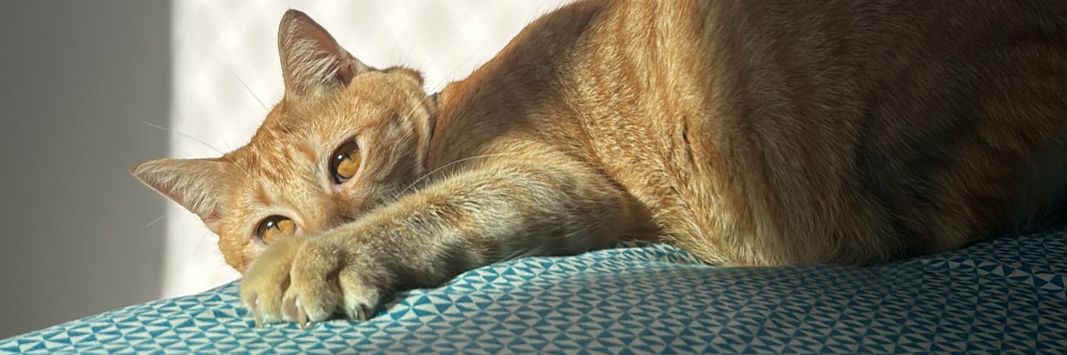 alexa jurídico pokémon banner