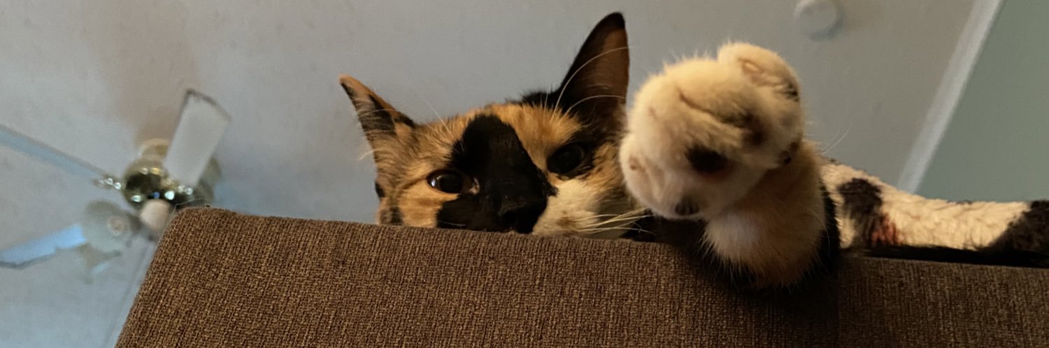llkristyll's profile banner image