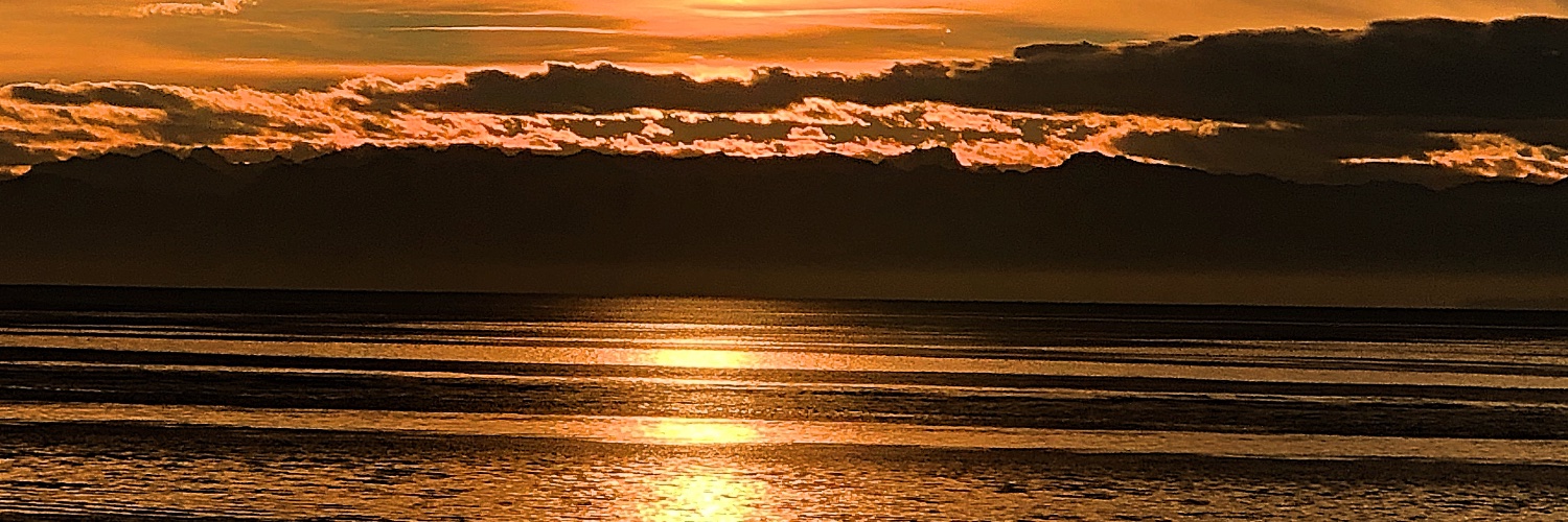 SuIll2's profile banner image