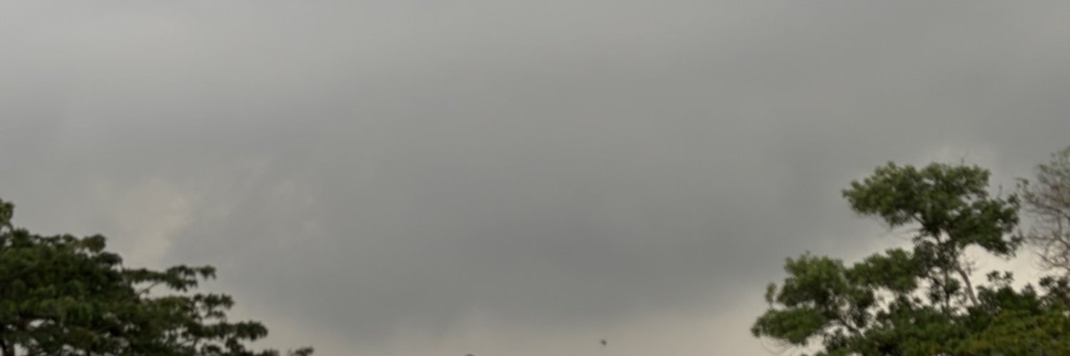 4L0N5O_'s profile banner image