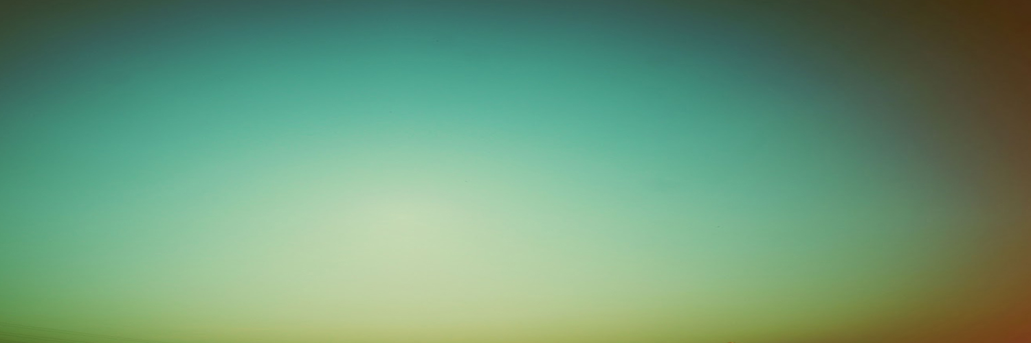 Mike Sandison banner