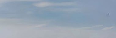 3137Ploy's profile banner image