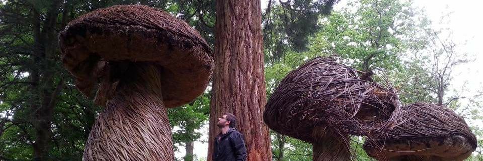 myco_RAC's profile banner image
