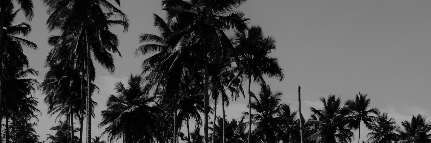 art_brmds's profile banner image