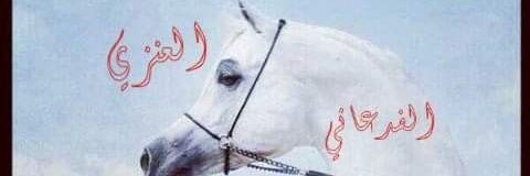 alfdan's profile banner image