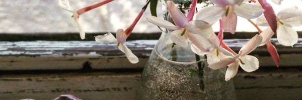 smladyman Profile Banner