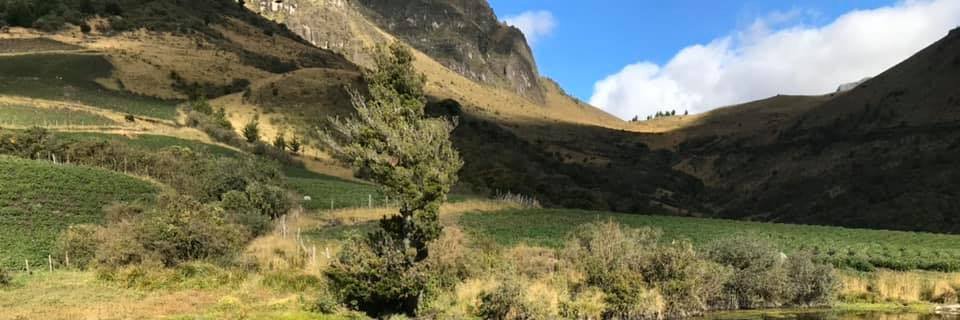 Francisco Borja banner