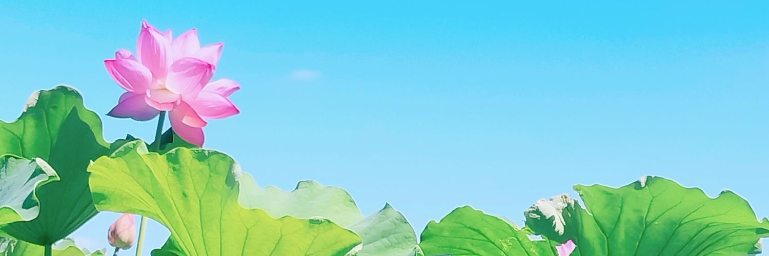 moon_love6's profile banner image