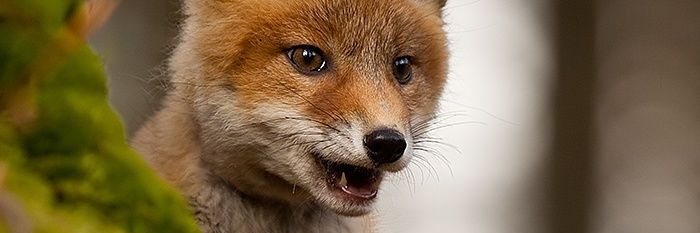 ooukrytemysli's profile banner image