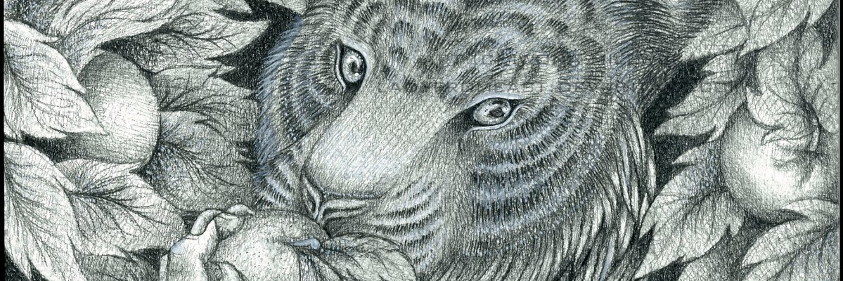 LadyFromEast's profile banner image