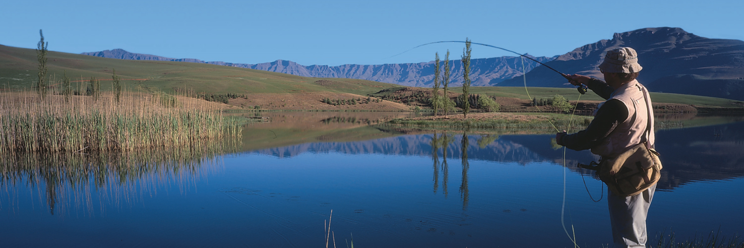 CastleburnSA's profile banner image