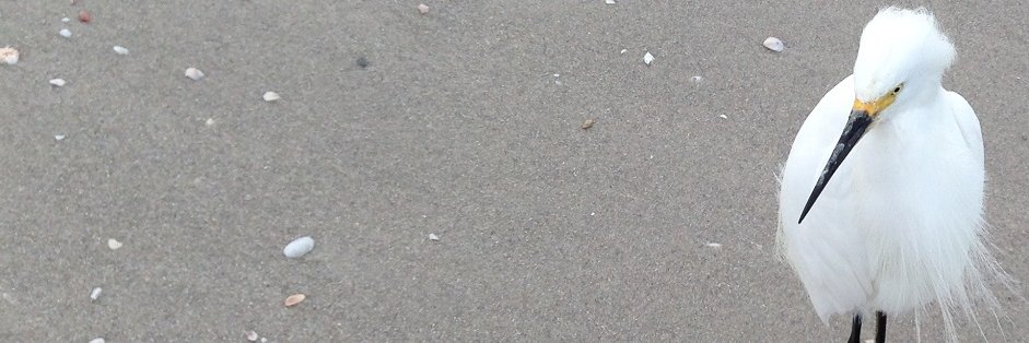 interlinejim's profile banner image