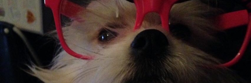 Britta Gagner banner