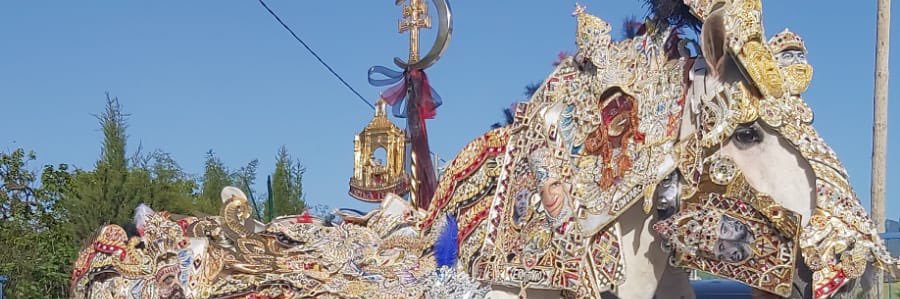 CaballoTerry's profile banner image
