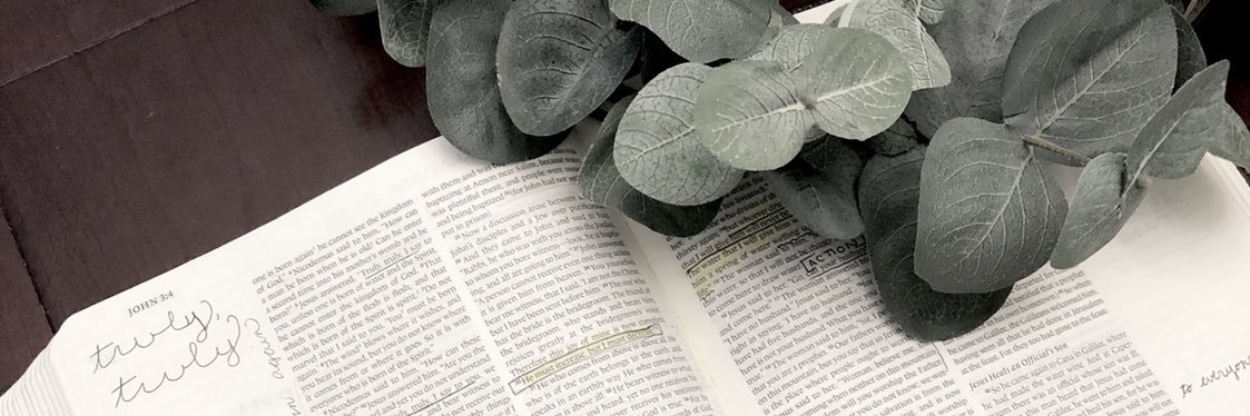 StephLaPreal's profile banner image