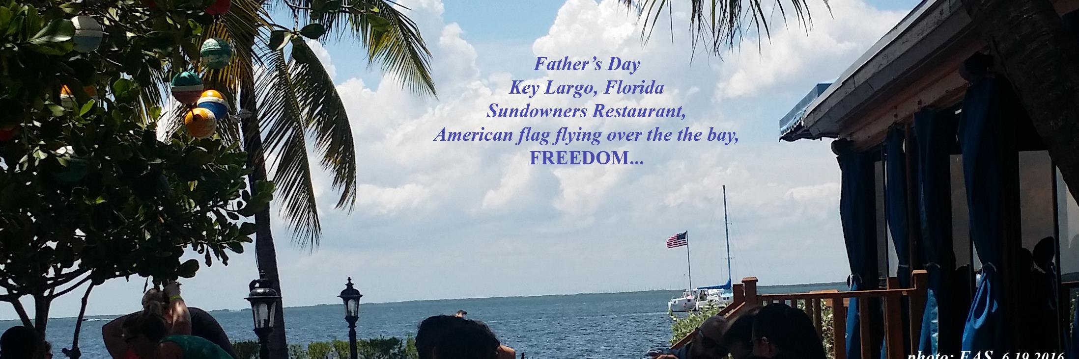 FloridaTwits's profile banner image