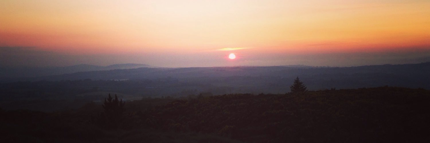 WillAMaule's profile banner image