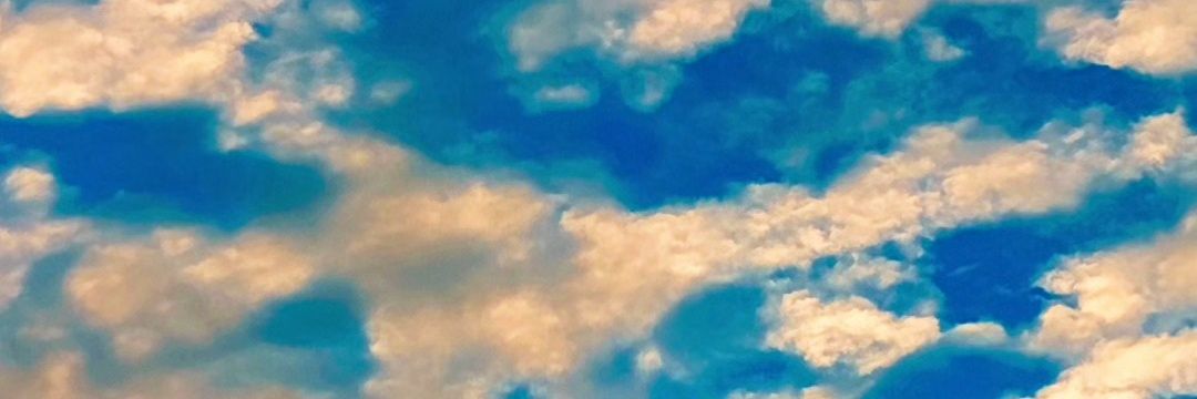 87Inus's profile banner image