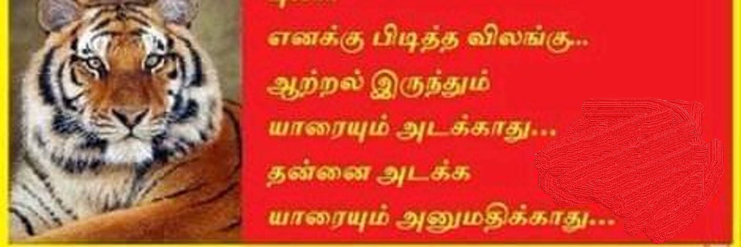 Raanifty's profile banner image