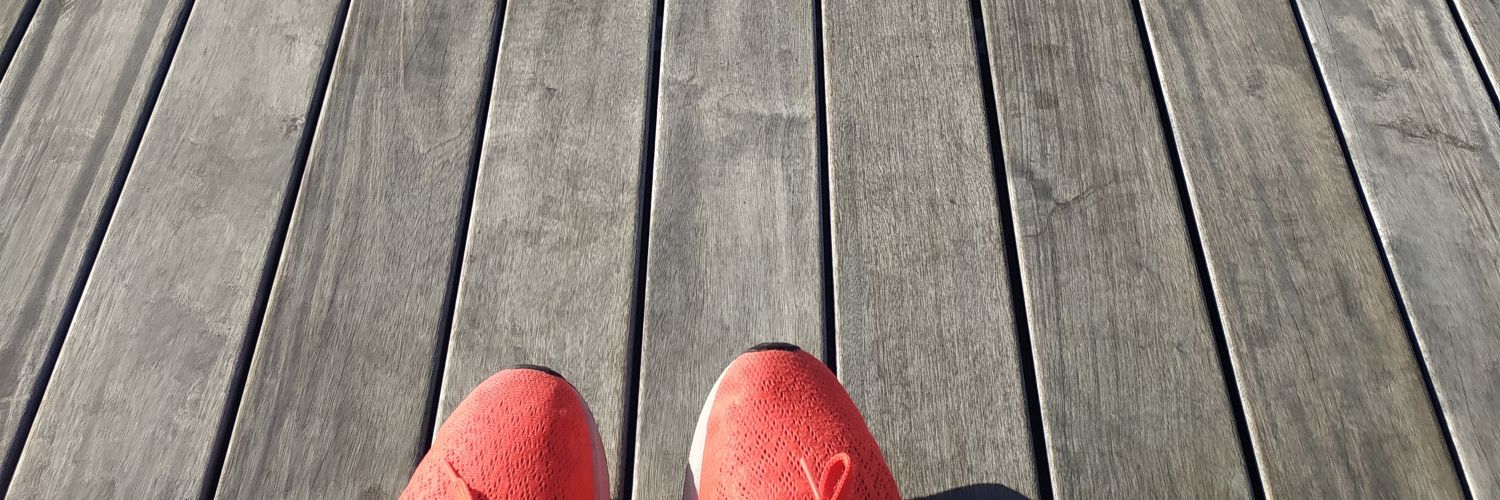 Leonor S. de la Ossa banner