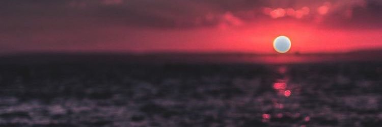 amariamartin34's profile banner image
