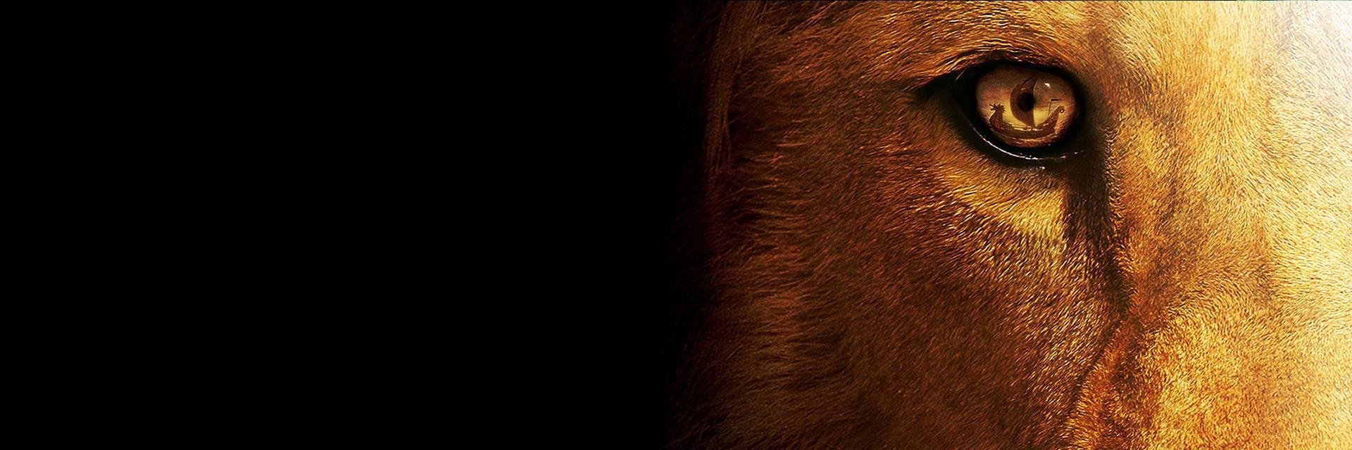 eggplancaviar's profile banner image