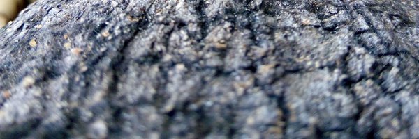 lekeonilude Profile Banner