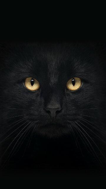 heniwdyss's profile banner image