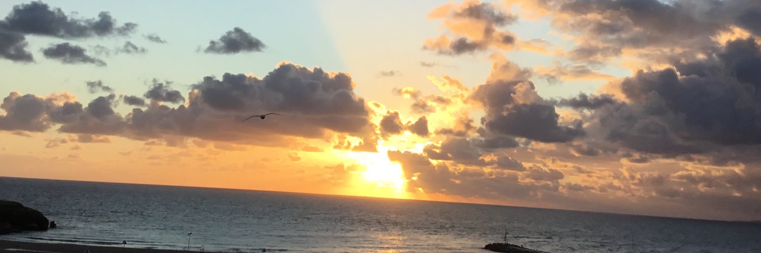 zozeas's profile banner image