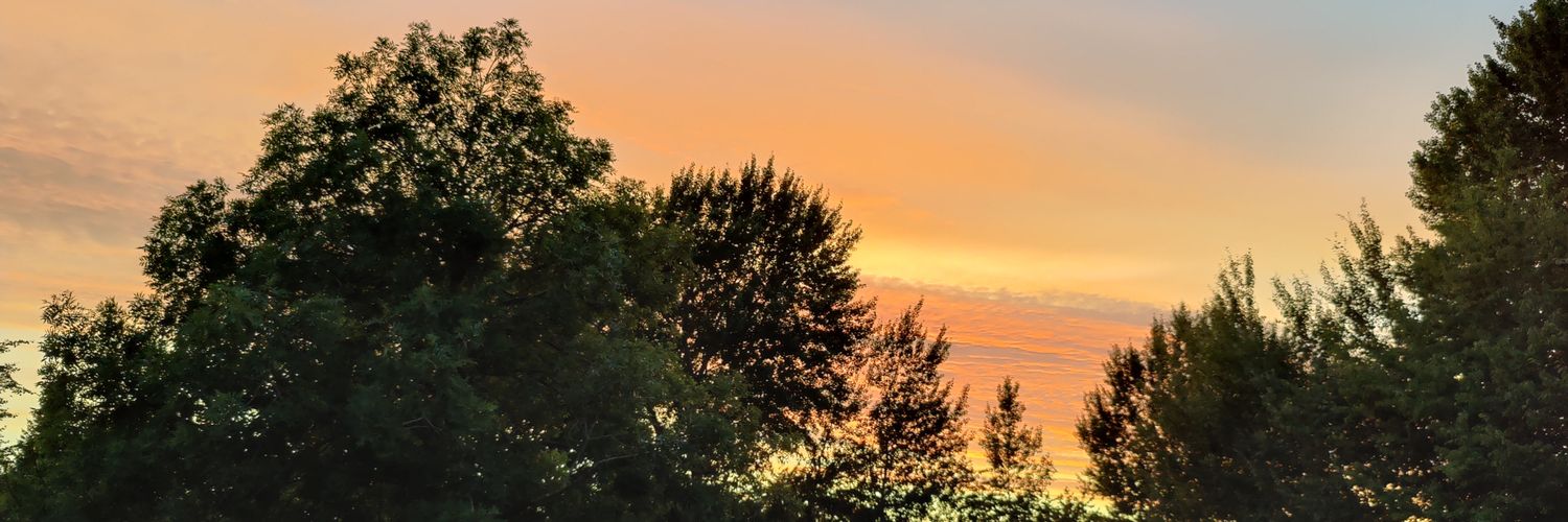 mkellermanndk's profile banner image