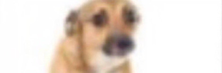 joaragao_'s profile banner image