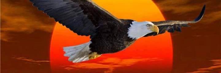 Hello_President's profile banner image