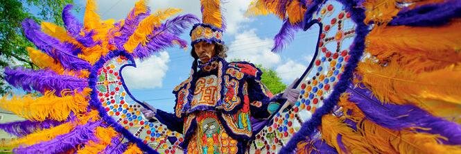 Adam B. Kushner banner