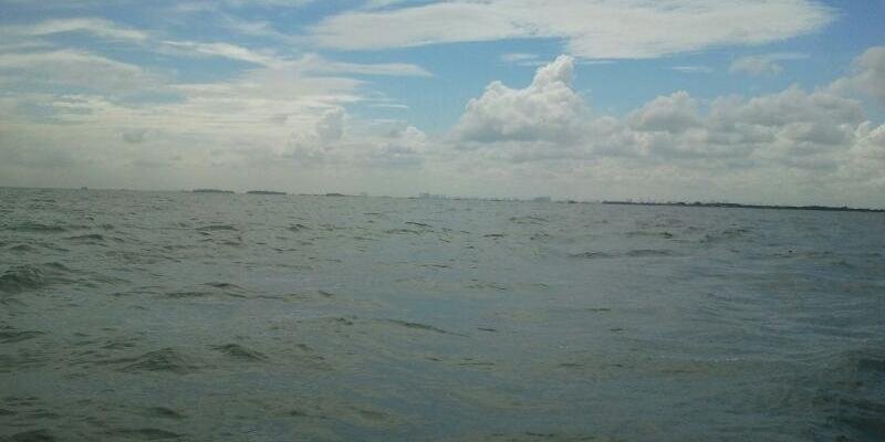 faridd_ali's profile banner image