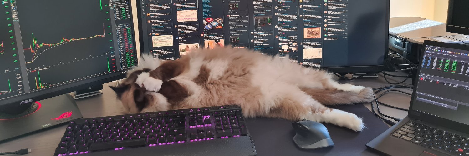 QuIIamaggie0's profile banner image