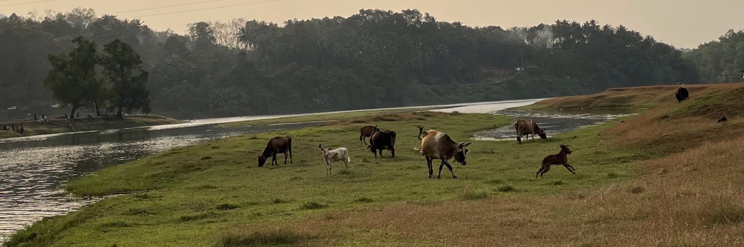 Hashik(✸,✸) banner