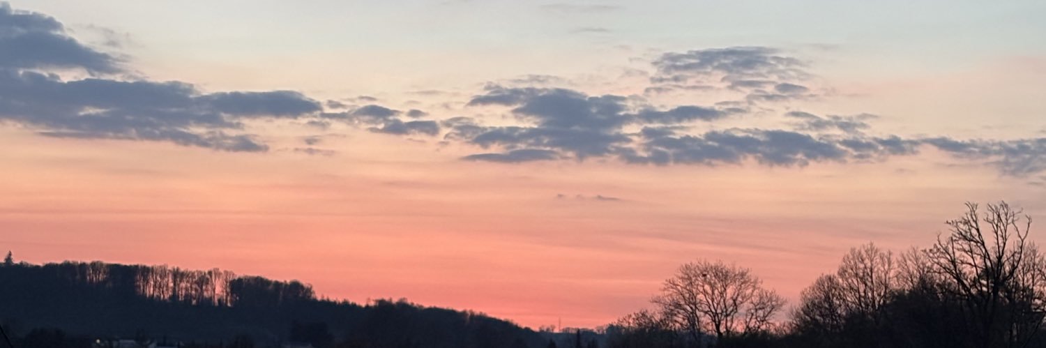Charlène 🌸 banner