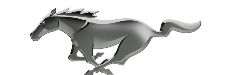 bedikaran04's profile banner image
