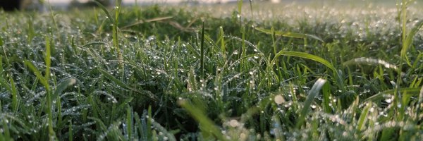 Pakka_Chichora Profile Banner