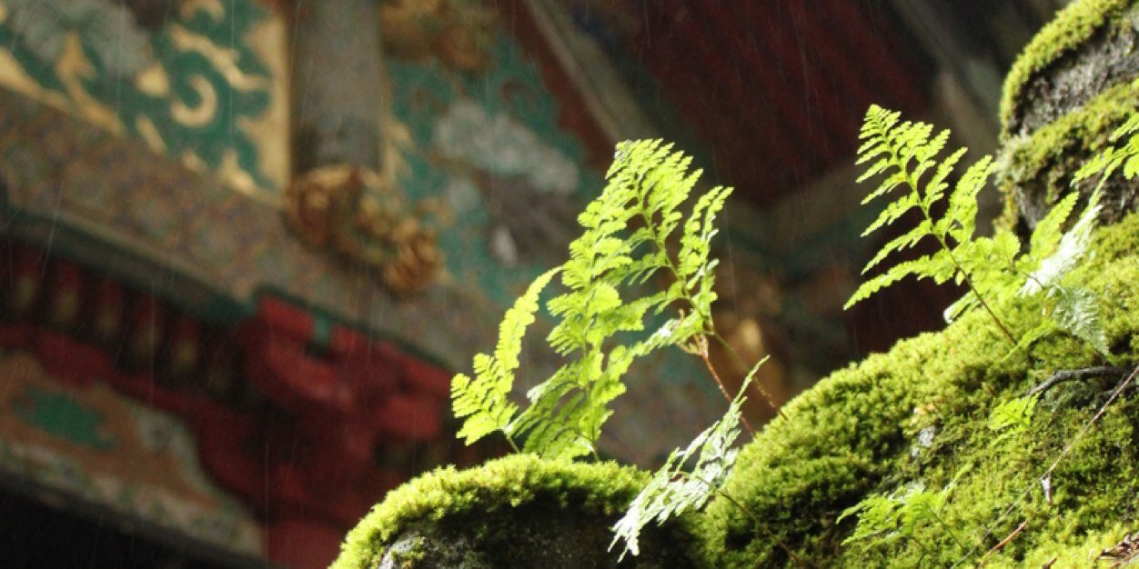 botdf_liu's profile banner image