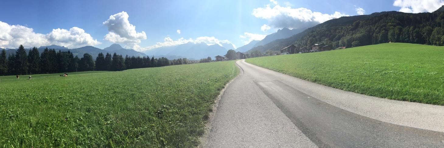 Iris Schaffer banner