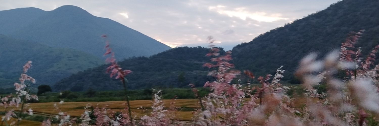 punyui_147's profile banner image